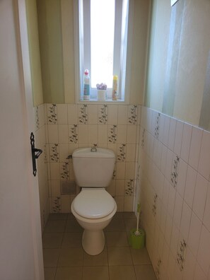 Secador de cabelo, toalhas de banho, papel higiênico 