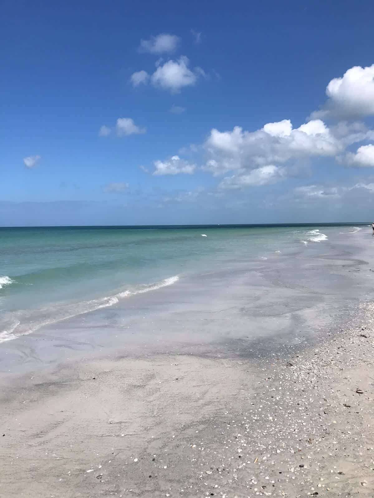 Playa en los alrededores 
