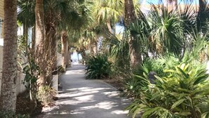 A pathway lined with palm trees and other greenery, leading to a building. - Heated Pool! Steps 2 beach! Luxurious King bed (Indian Rocks Beach)