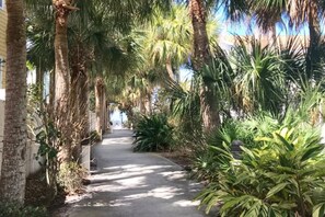 Property grounds - Heated Pool! Steps 2 beach! Luxurious King bed (Indian Rocks Beach)