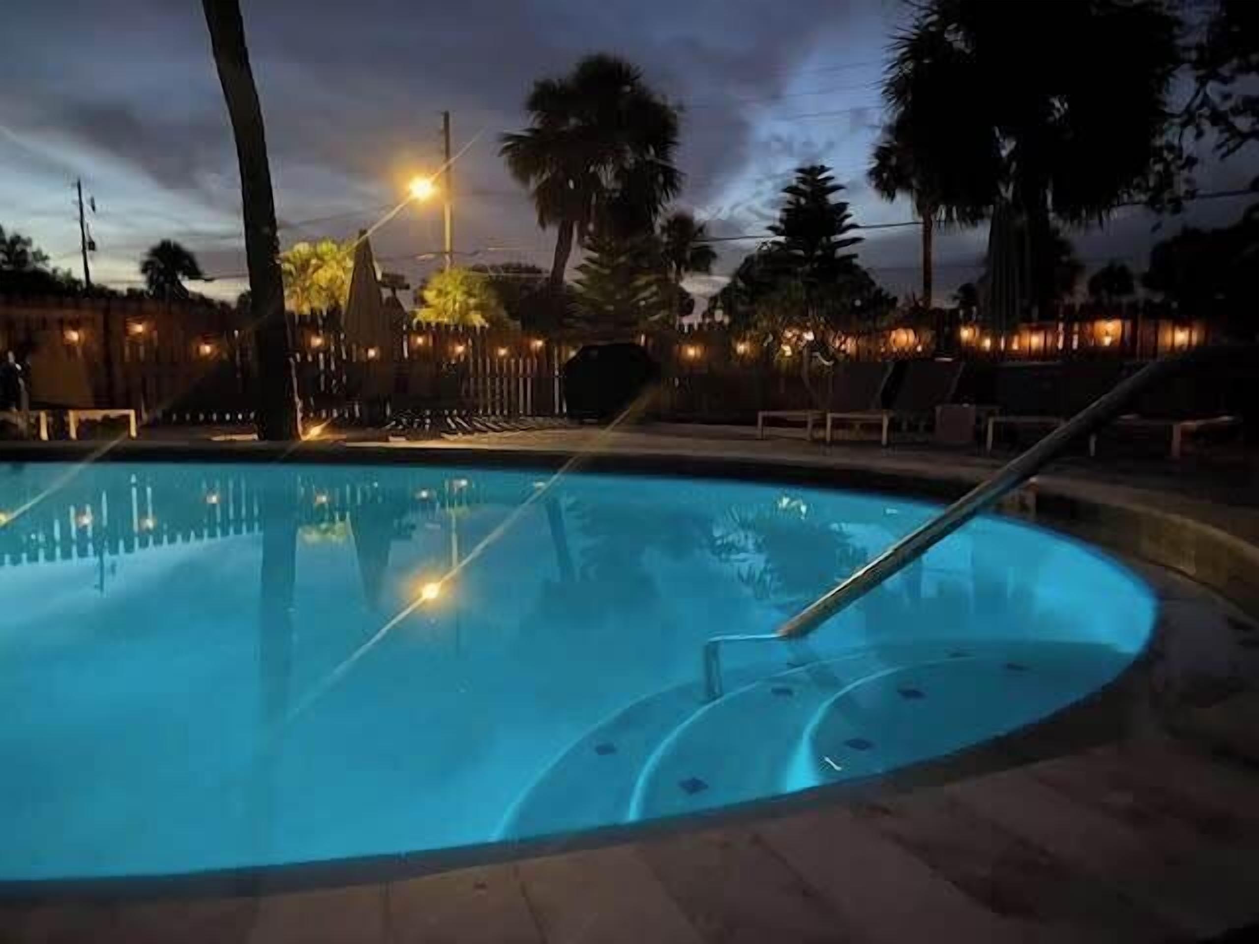 Una piscina de borde curvo, rodeada de palmeras y una valla.