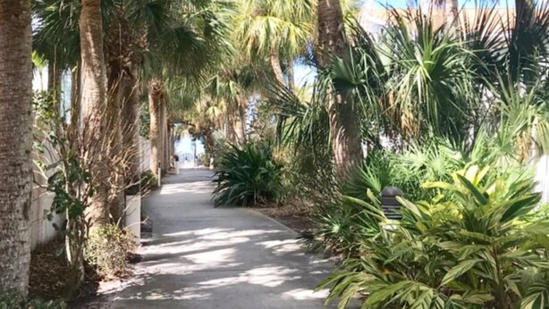 Un chemin bordé de palmiers et d’autres plantes, qui mène à un bâtiment.