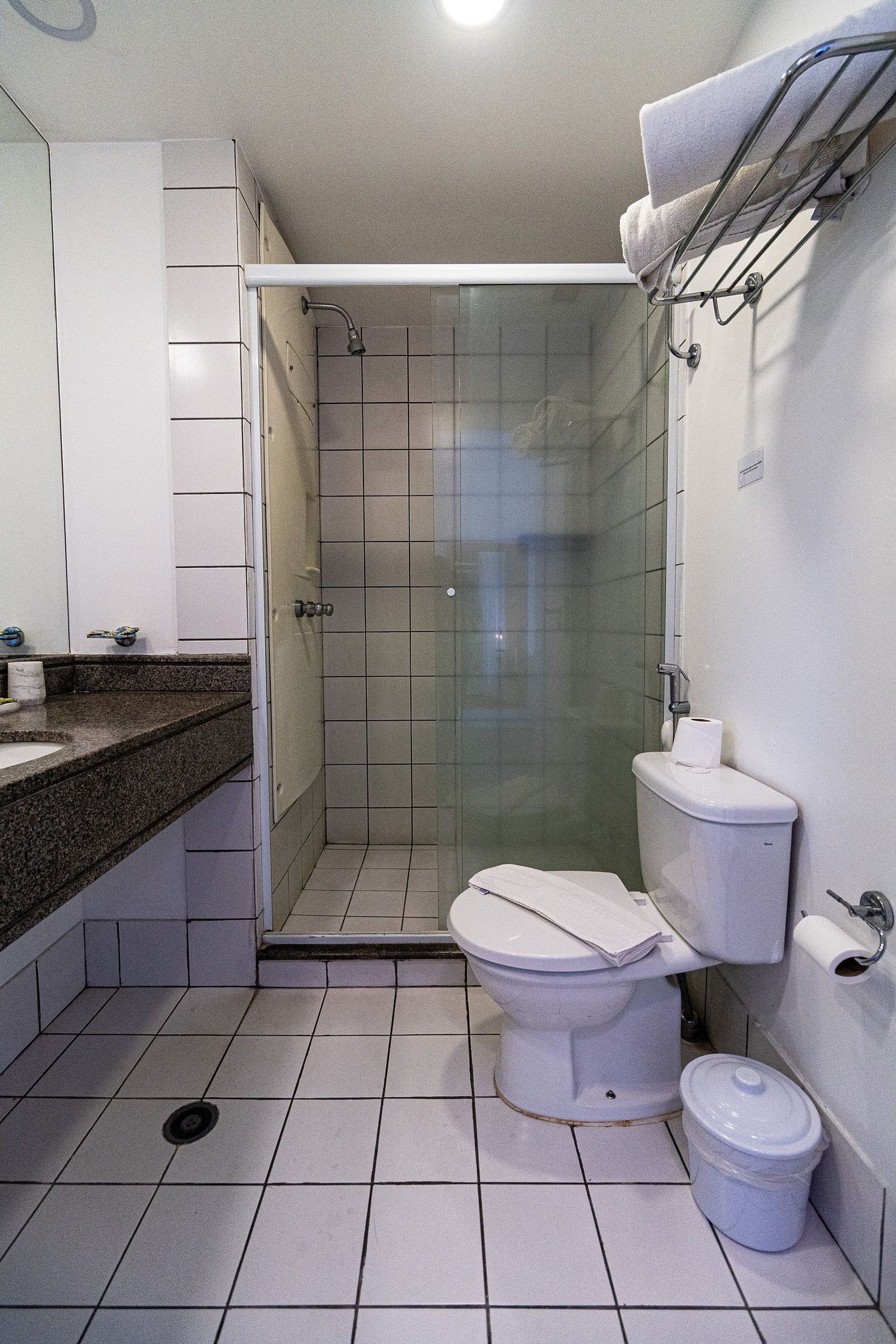 Een badkamer met douche, toilet en wastafel.
