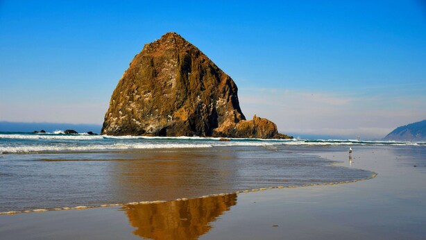 A large rock formation at the beach with clear blue skies. - Single-level, fenced backyard, & quiet neighborhood (Beaverton)
