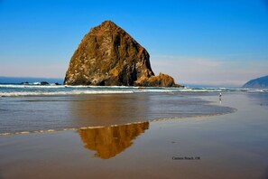 A large rock formation at the beach with clear blue skies. - Single-level, fenced backyard, & quiet neighborhood (Beaverton)