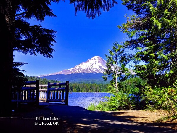 A bench overlooking a lake with a mountain in the background. - Single-level, fenced backyard, & quiet neighborhood (Beaverton)