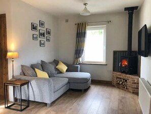 Smart TV, fireplace, books