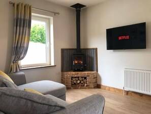 Smart TV, fireplace, books