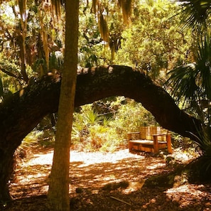 Property grounds - NEW! High End King Mattress! 10 Steps to the beach (Clearwater)