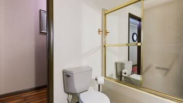Une salle de bain avec des toilettes, un miroir et un plancher en bois.