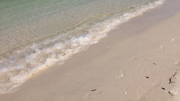 A beach with clear water and a sandy shore.