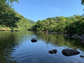 Um rio calmo com pedras e vegetação densa em ambas as margens.