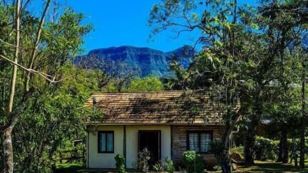 A single-story house with a thatched roof, surrounded by lush greenery and trees. - RECANTO DOS COMPADRES (Praia Grande)