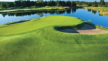 Apartment | Interior