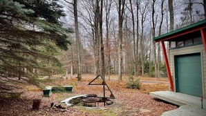 A cabin with a green door, surrounded by a forested area with leaf-covered ground and a wooden deck. - The Lookout (Galeton)