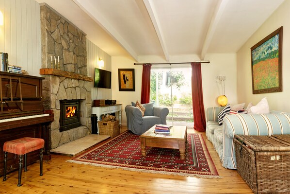 Smart TV, fireplace, books, stereo