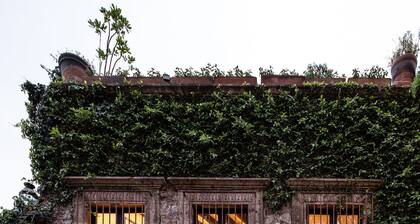 Holt s Casa Parque Ju rez