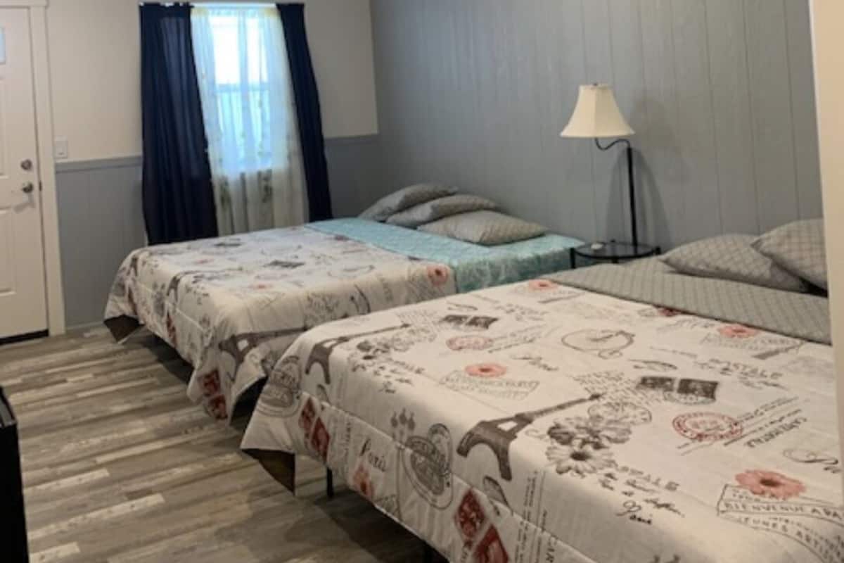Une chambre avec deux lits, une fenêtre avec des rideaux, une lampe de chevet et une porte.