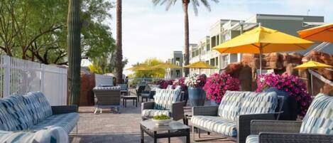 An outdoor seating area with sofas and chairs, surrounded by palm trees and potted plants.