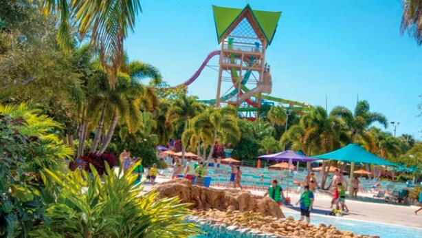 Un parco acquatico con un grande scivolo, palme e una zona piscina.
