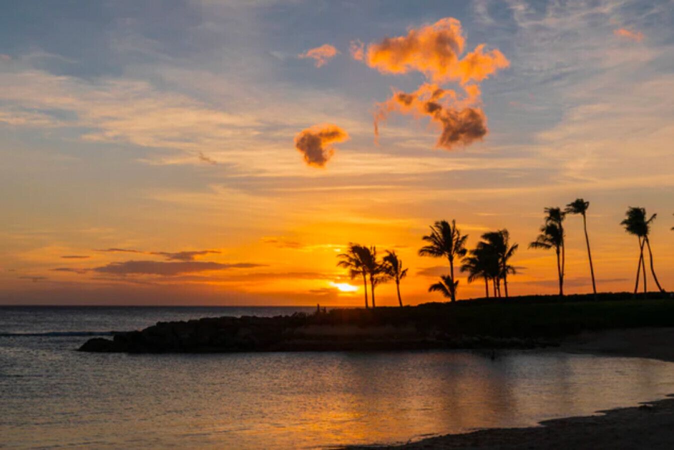 Een zonsondergang boven een strand met silhouetten van palmbomen tegen de lucht.