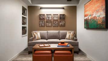 智能电视、壁炉、电子游戏、DVD 播放器