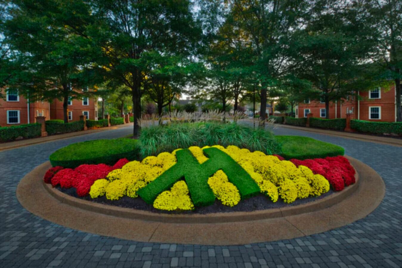 Overnatningsstedets område