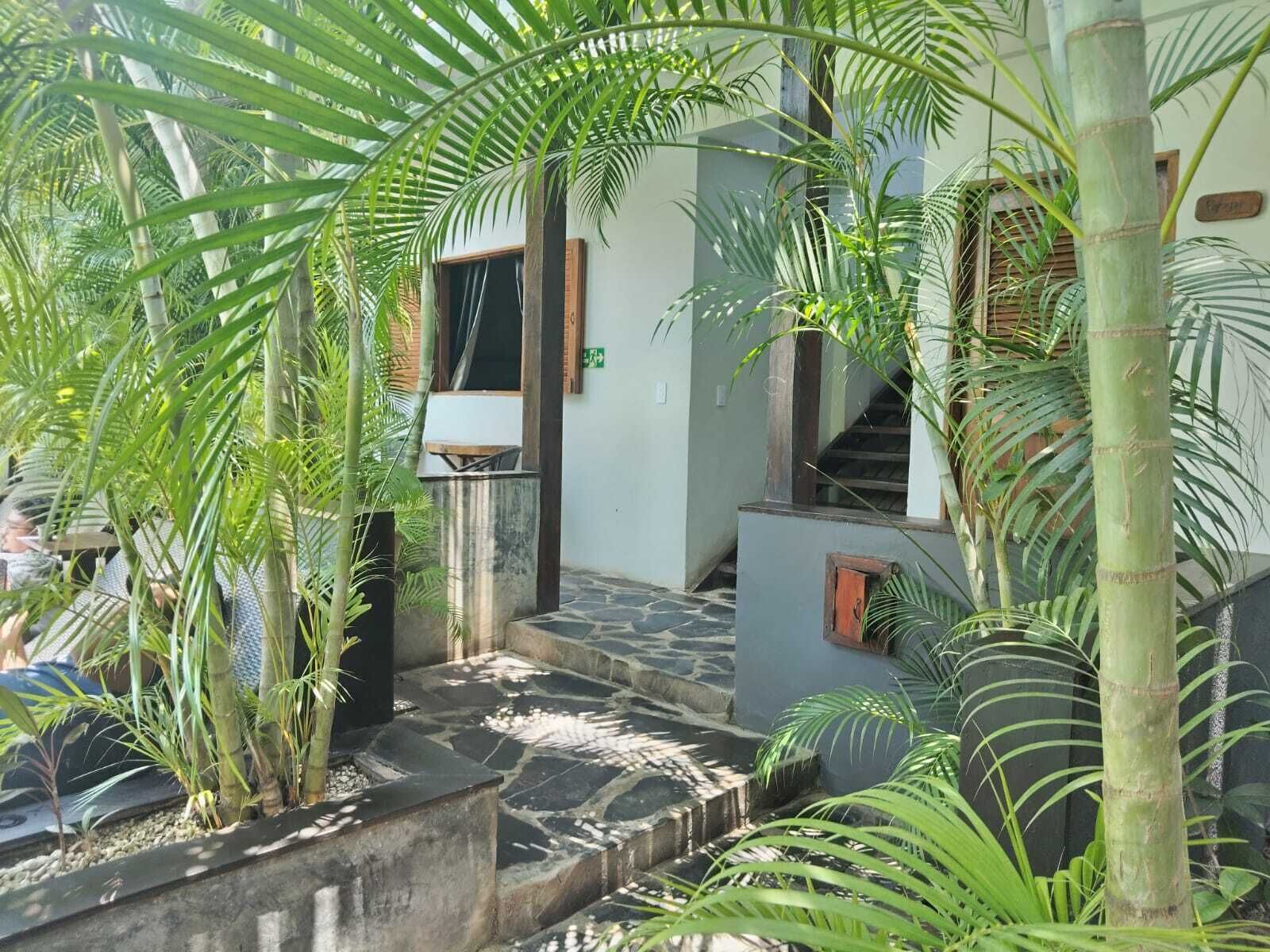 A staircase leading to a building entrance, surrounded by lush greenery and a stone pathway.
