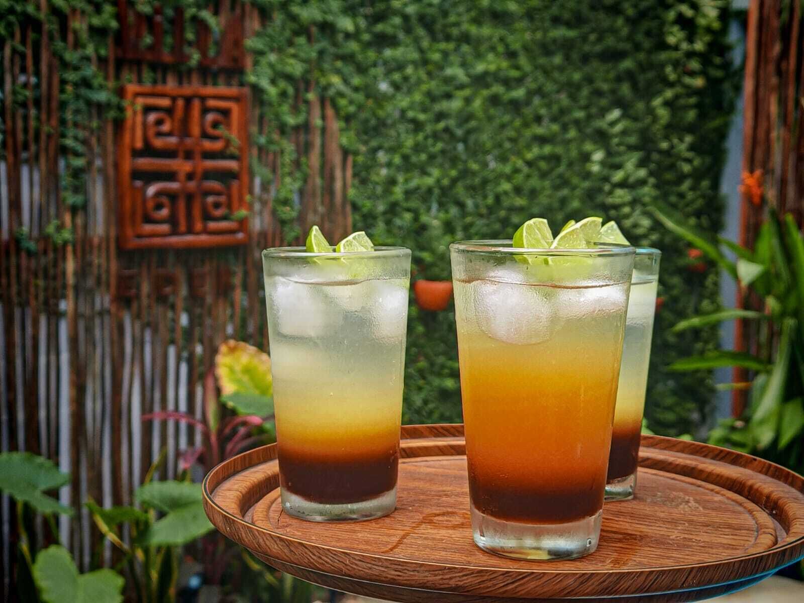 Deux verres de boissons glacées sur un plateau en bois.