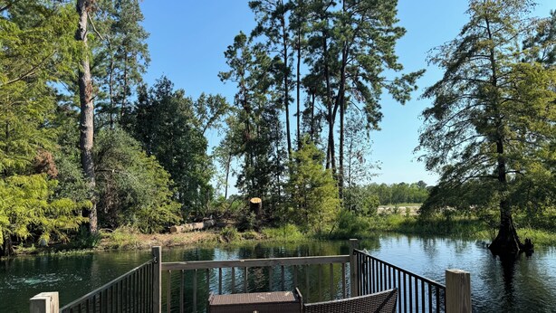Une terrasse en bois avec une rambarde en métal, donnant sur une étendue d’eau calme, et entourée de grands arbres.