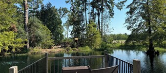 2 bed 2 bath Modern Farmhouse in Old Town Spring