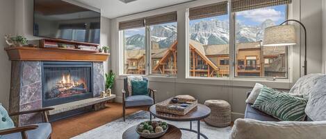 TV, fireplace, offices