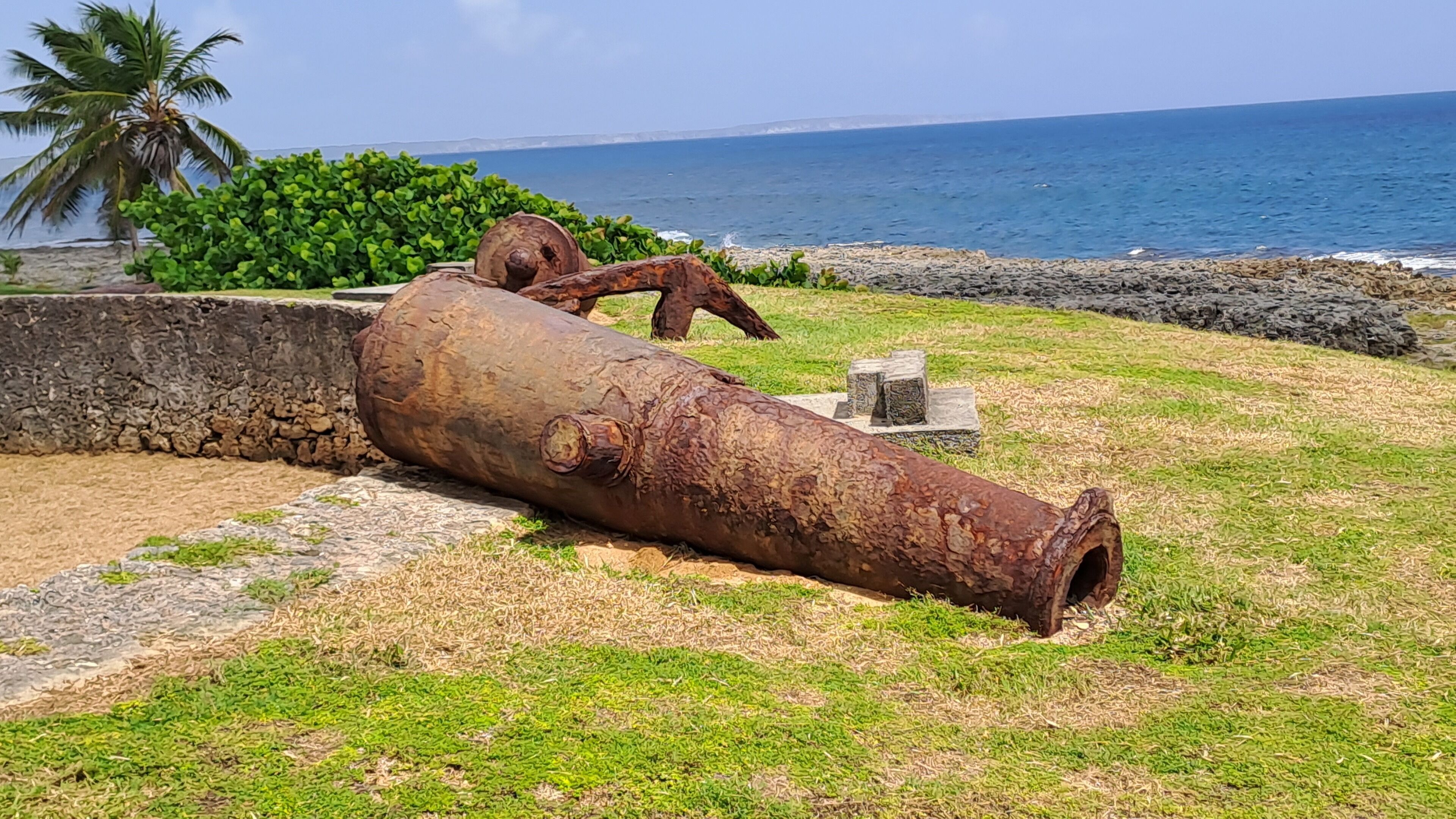 A rusted cannon on a grassy area near a rocky shoreline with a palm tree and ocean view.