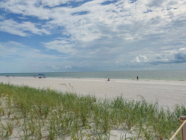 A beach with a clear sky, sandy shore, and some vegetation in the foreground.