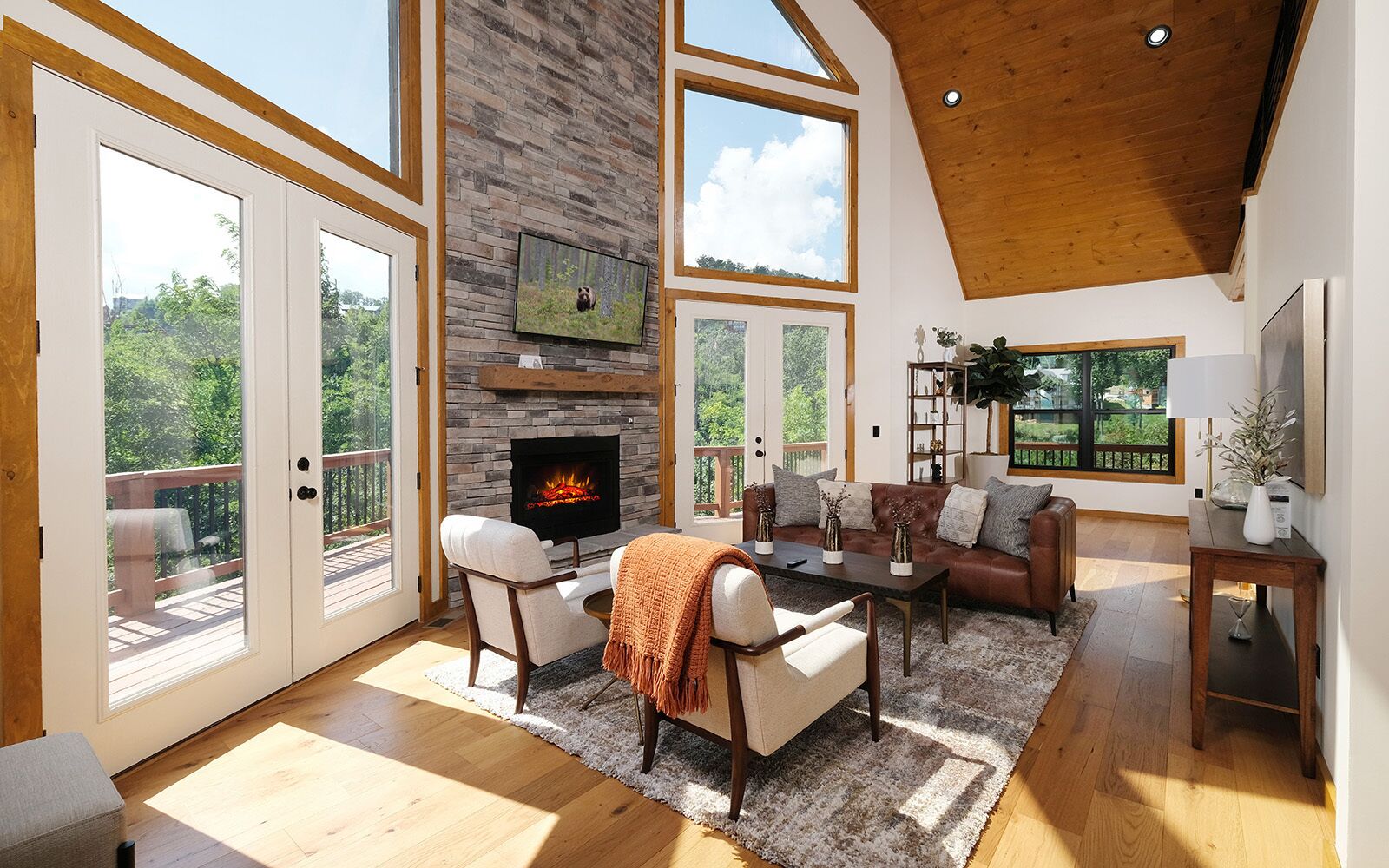 Televisión, chimenea y videojuegos 