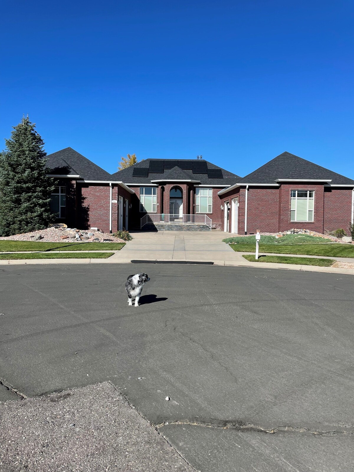 Værtens profilbillede