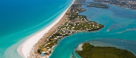 Camastros y toallas de playa