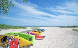 Sun-loungers, beach towels