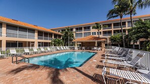 Unclassified image, 5 of 25, button