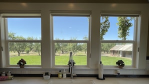 Una cocina con un lavamanos grande, tres ventanas y plantas en macetas en el alféizar.