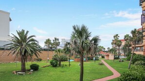 Un patio cuidado con palmeras, un sendero de ladrillo y una zona de piscina.