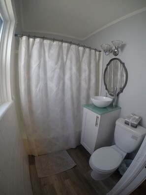 Hair dryer, towels, soap, toilet paper