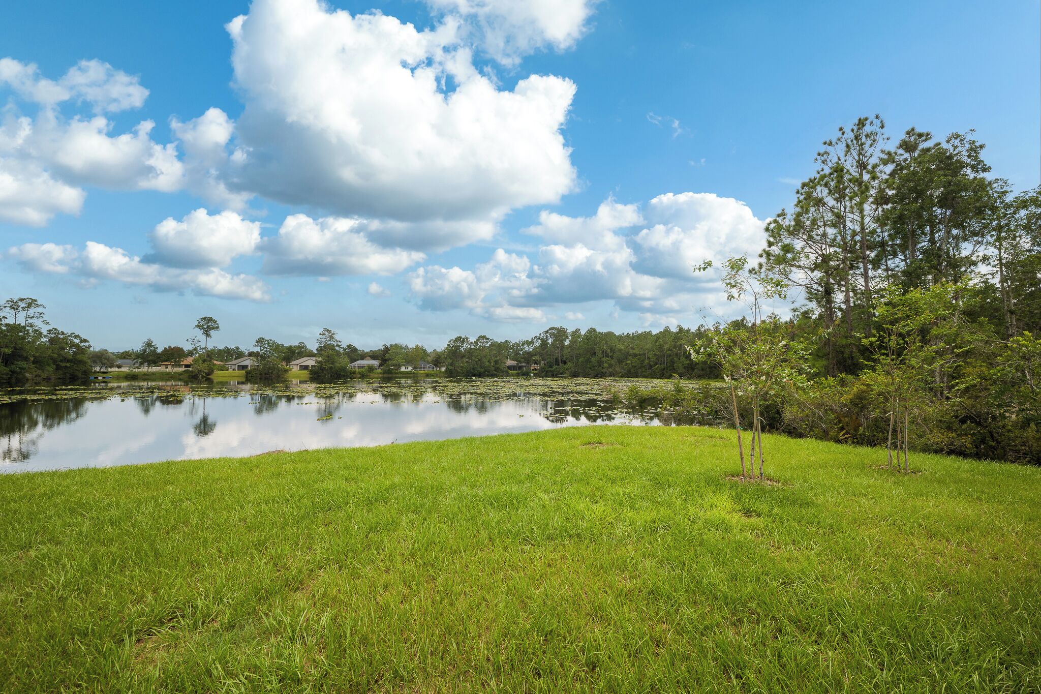 A serene landscape with a pond, grassy area, and trees under a clear sky.
