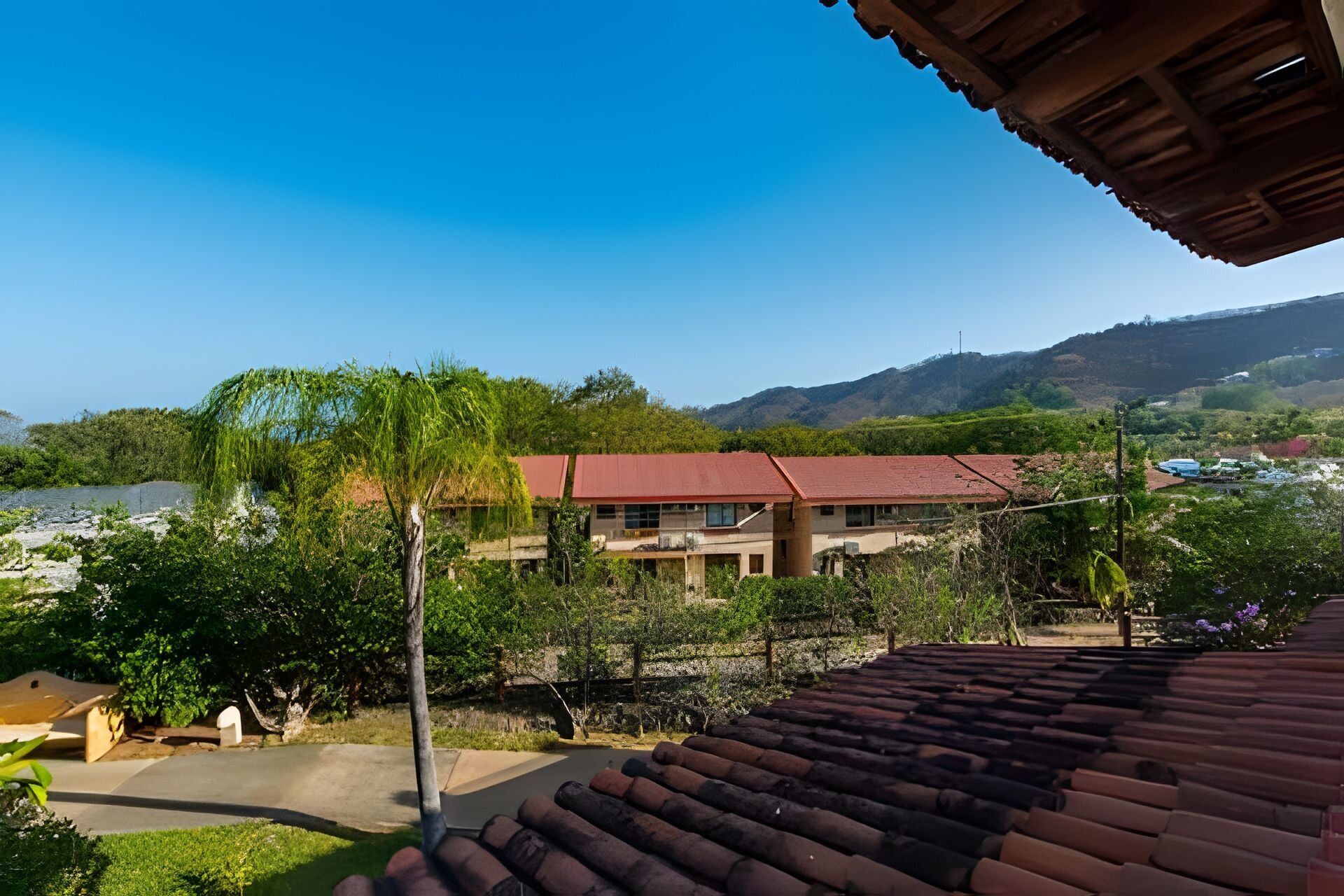 Basic Apartment | Property grounds