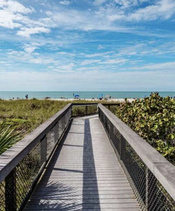 Property grounds - Beautiful family house in Venice, Fl. It is only a mile away from Shamrock Park (Venice)