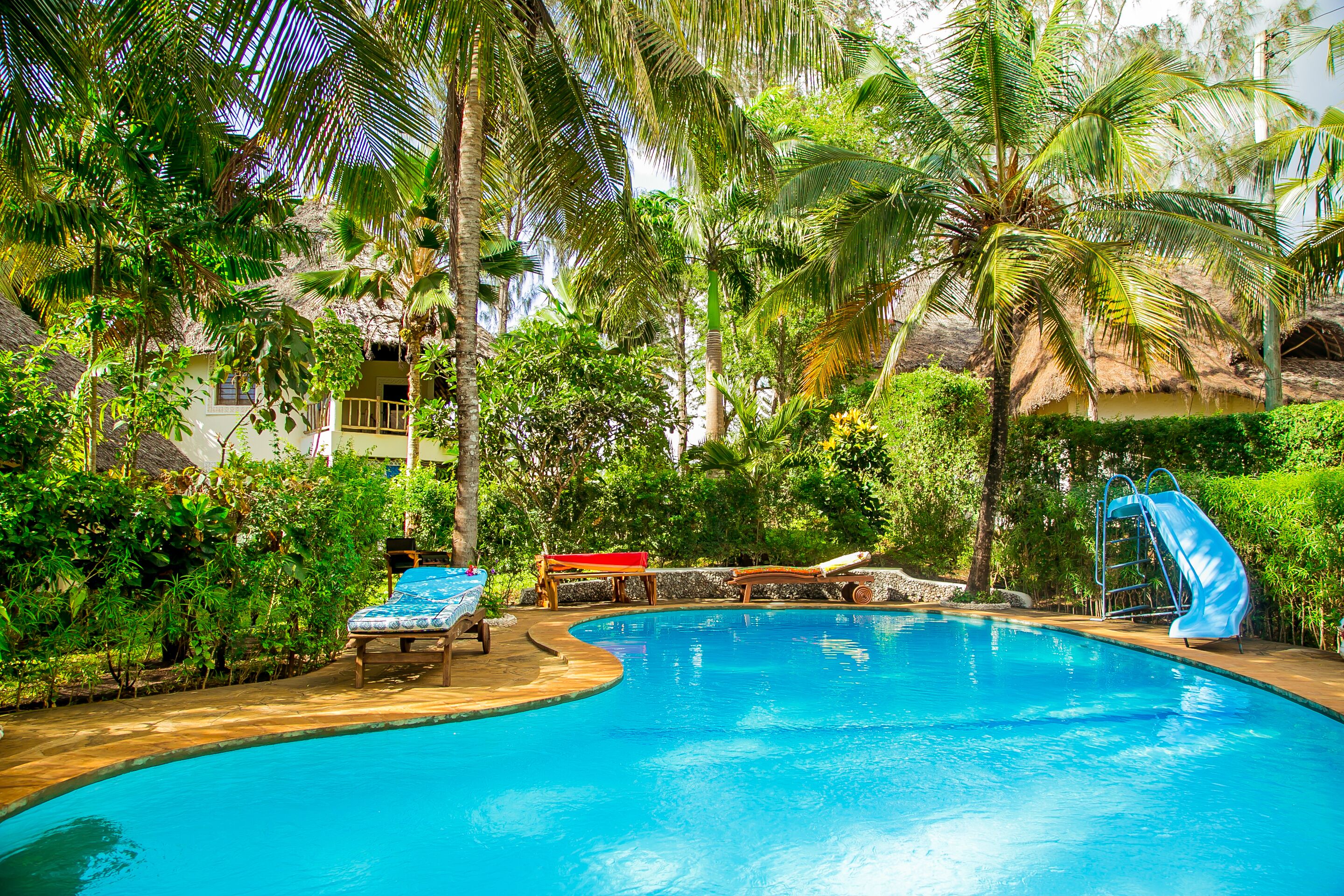 Une piscine entourée d’une végétation luxuriante et de palmiers, avec un toboggan et des chaises longues.