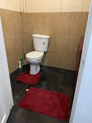 A bathroom with a toilet, two red rugs, and cleaning supplies on the floor. - 1st Floor 1-Bedroom ,Comfortably Sleeps 4 (Georgetown)