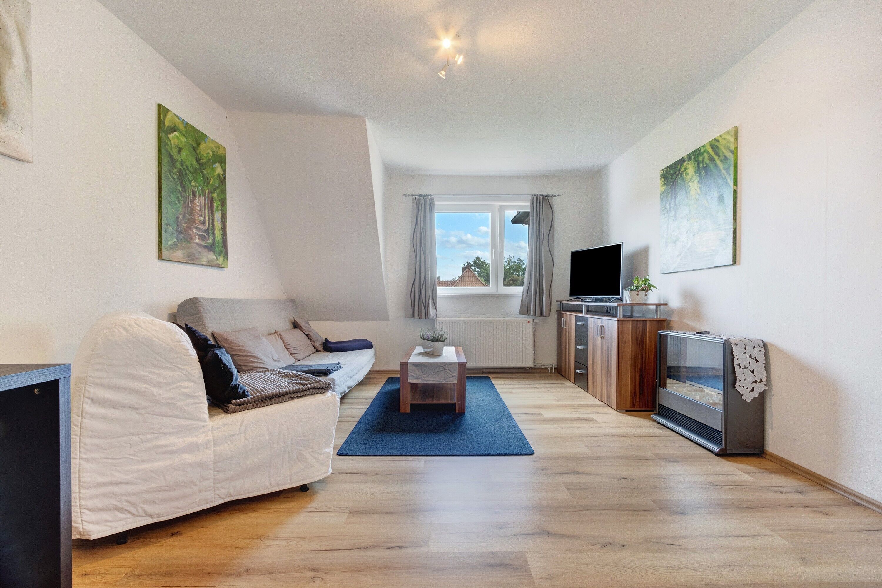 TV, ping pong, stereo