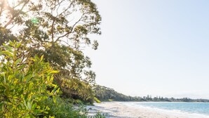 A beach with clear skies, sandy shore, and green vegetation. - The Beach Bach – Peaceful and relaxing villa (Vincentia)