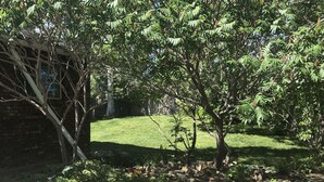 A garden with a variety of plants and rocks, a brick wall, and a grassy lawn. - Split Mountain View Paradise! Life on the farm! (Vernal)